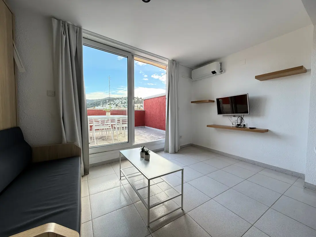 Location de Vacances Roses 785