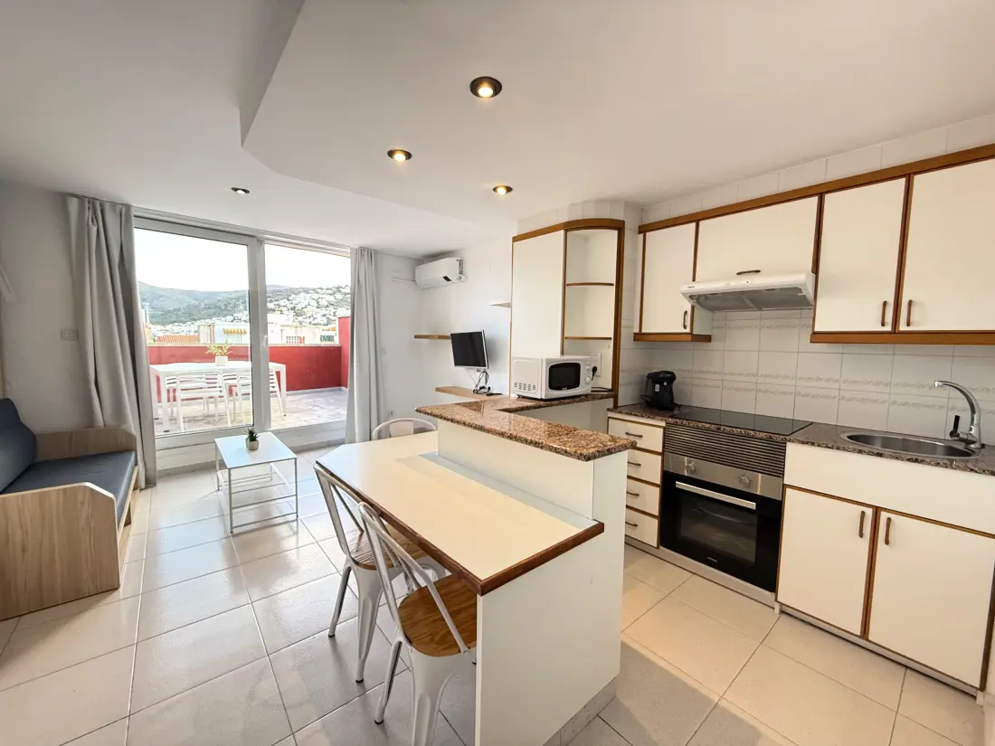 Location de Vacances Roses 785