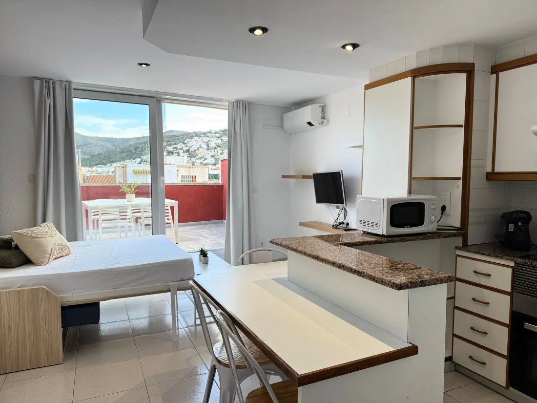 Location de Vacances Roses 785