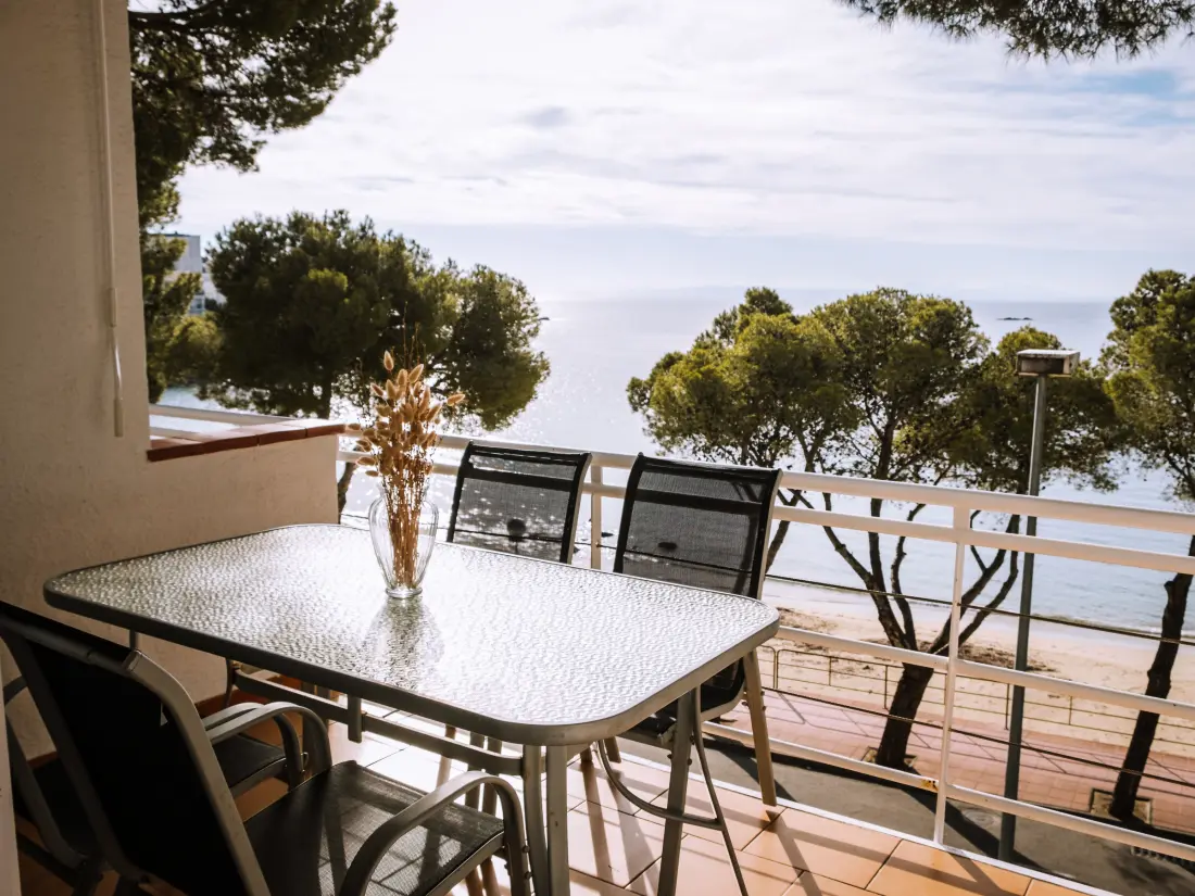 Location de Vacances Roses 787