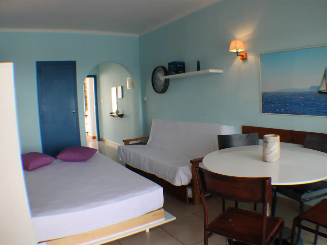 Location de Vacances Roses 787