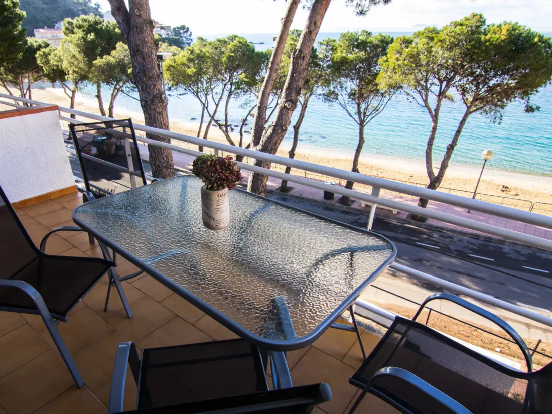 Location de Vacances Roses 787