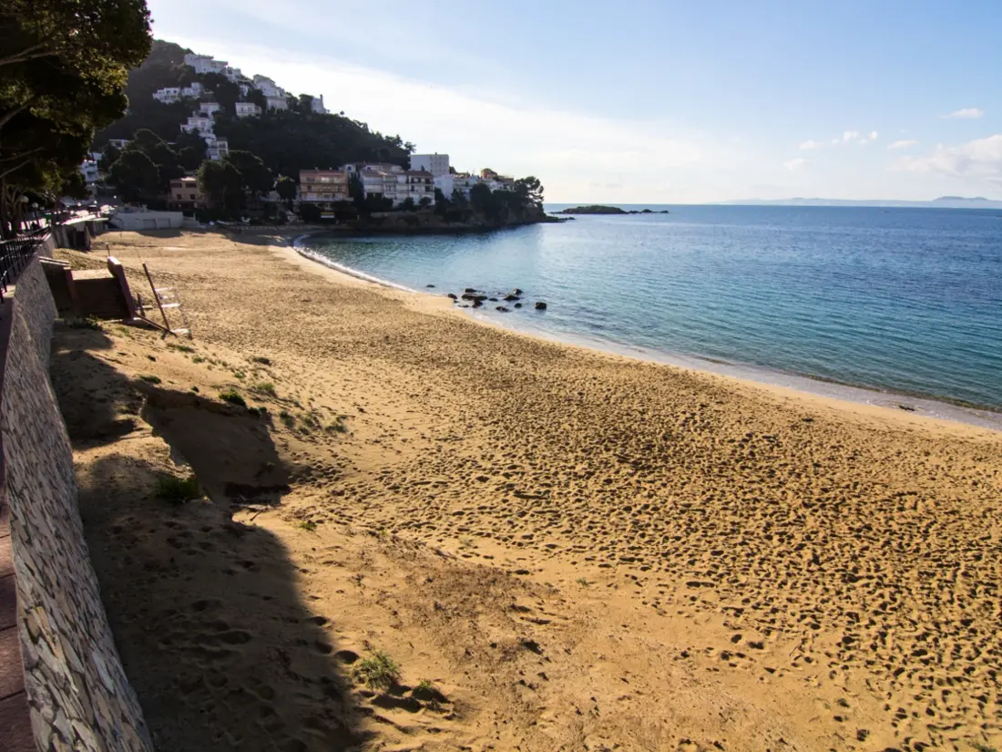 Location de Vacances Roses 787