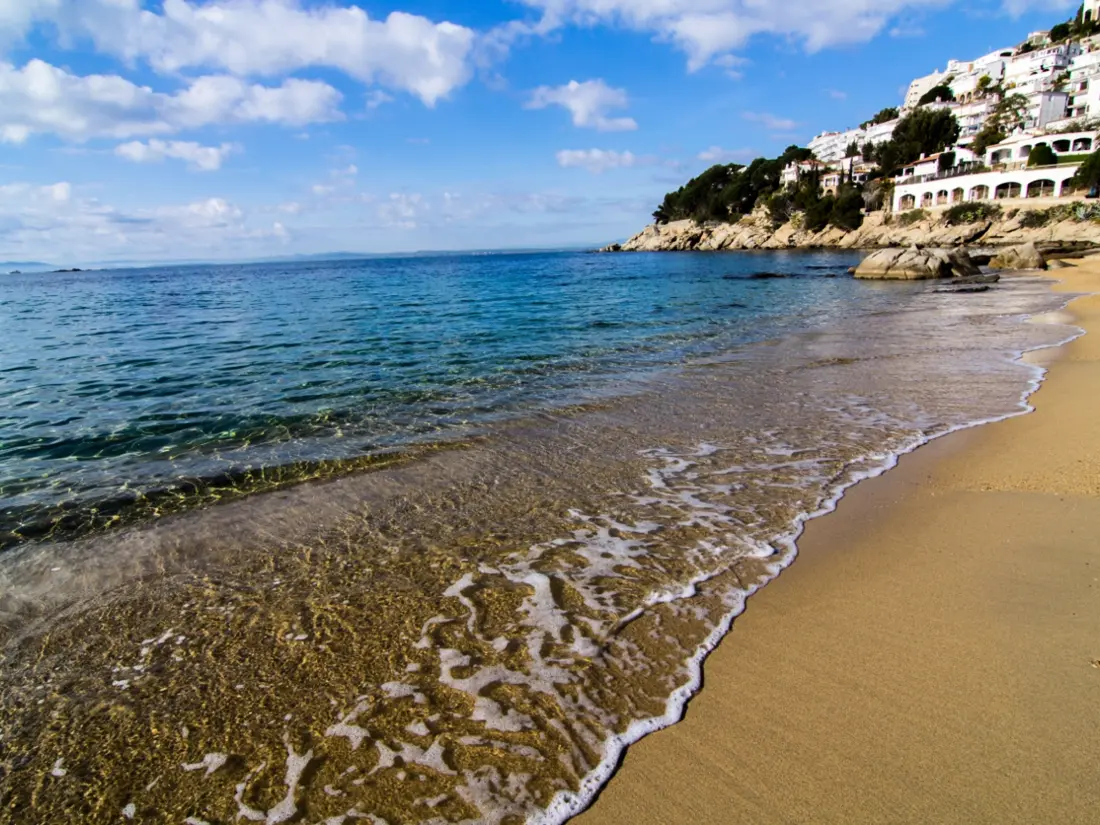 Location de Vacances Roses 787