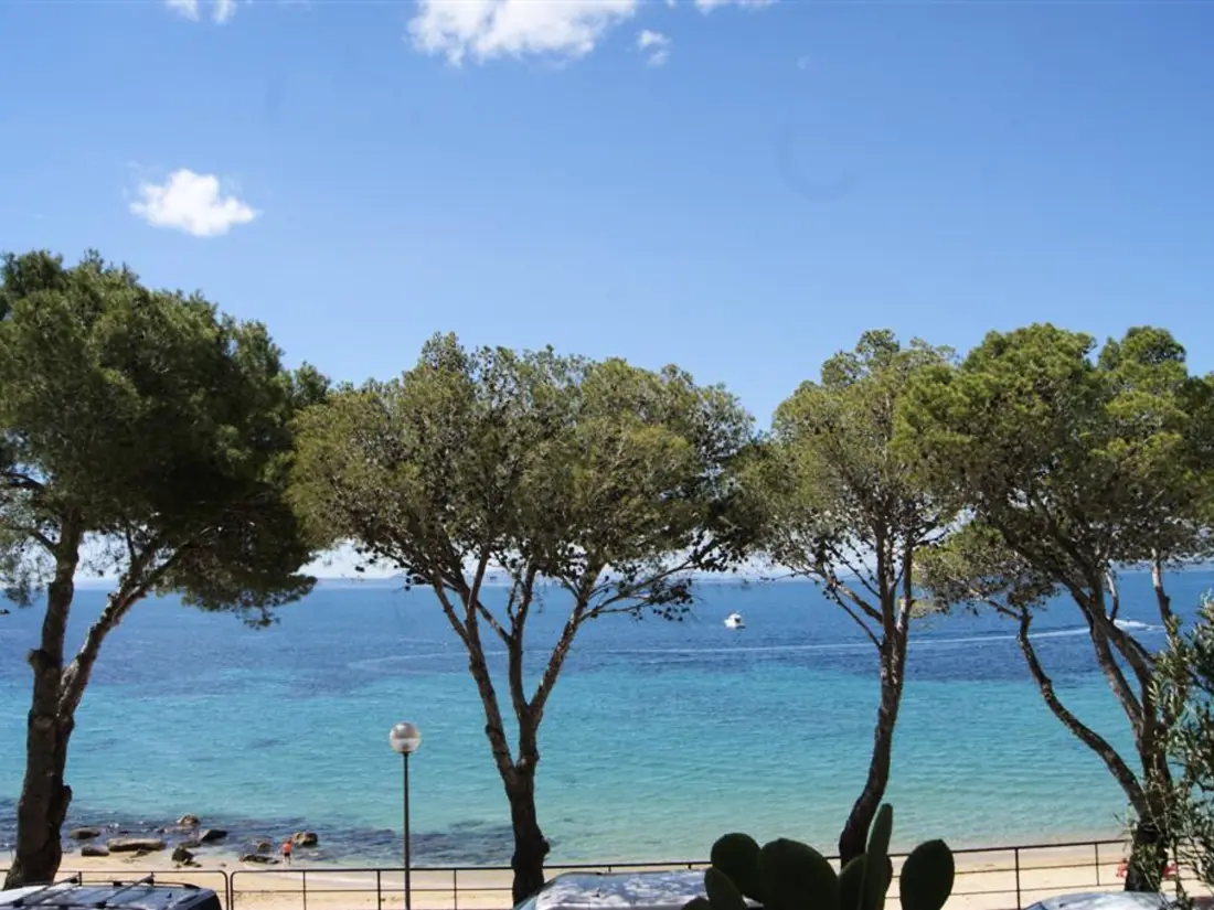 Location de Vacances Roses 787