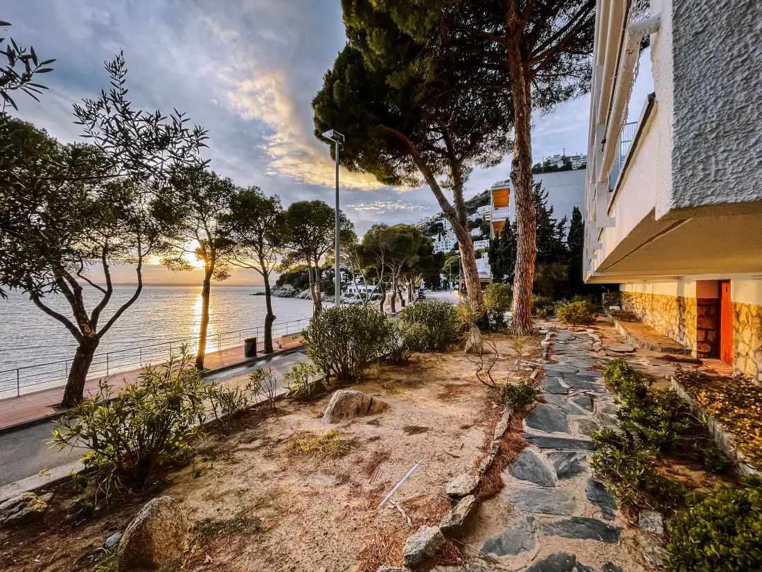 Location de Vacances Roses 787