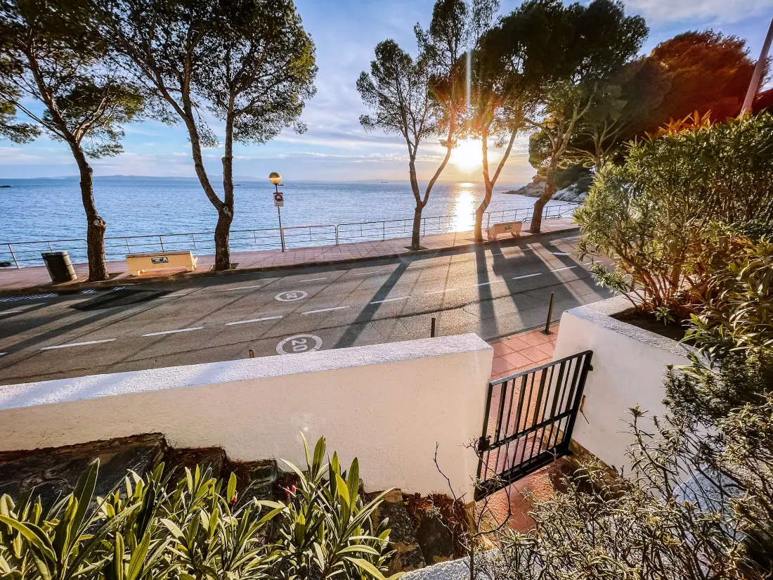 Location de Vacances Roses 787