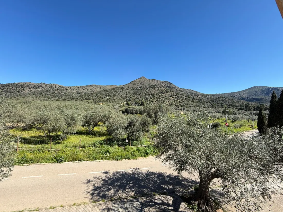 Location de Vacances Roses 790