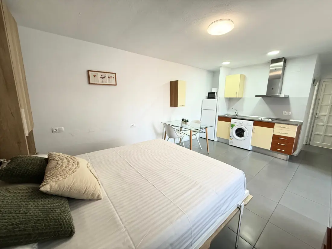 Location de Vacances Roses 791