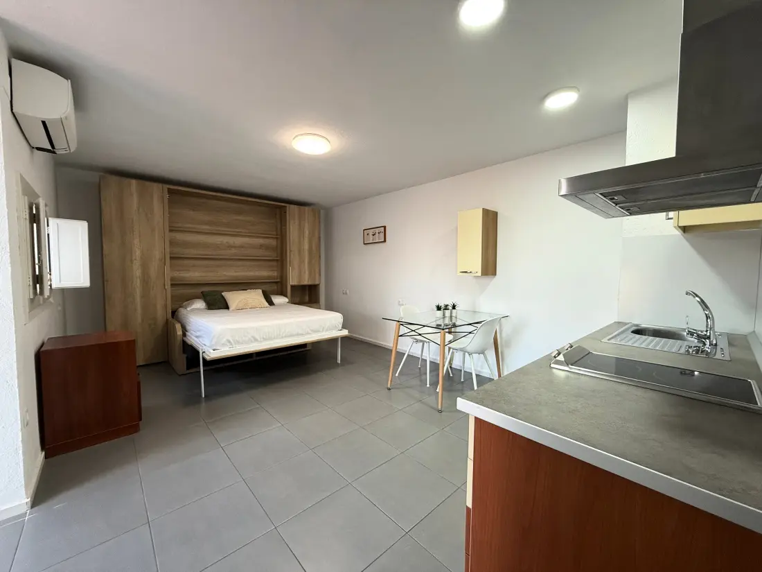 Location de Vacances Roses 791