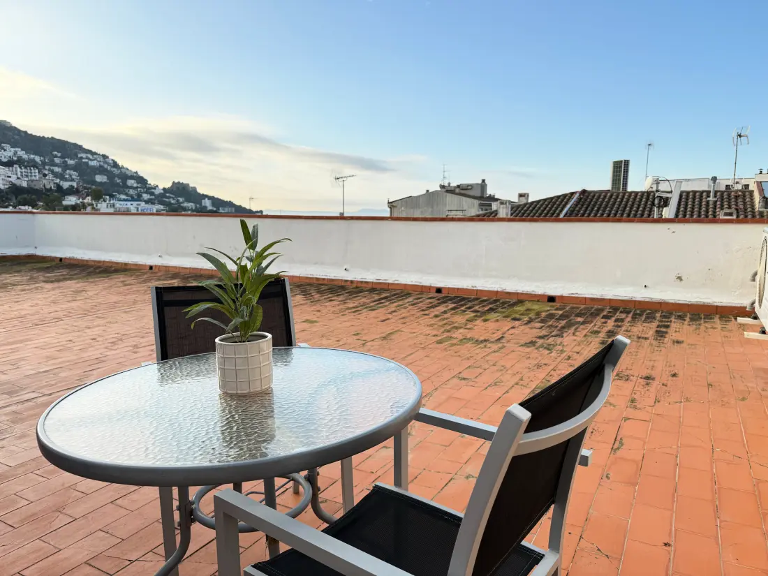 Location de Vacances Roses 791