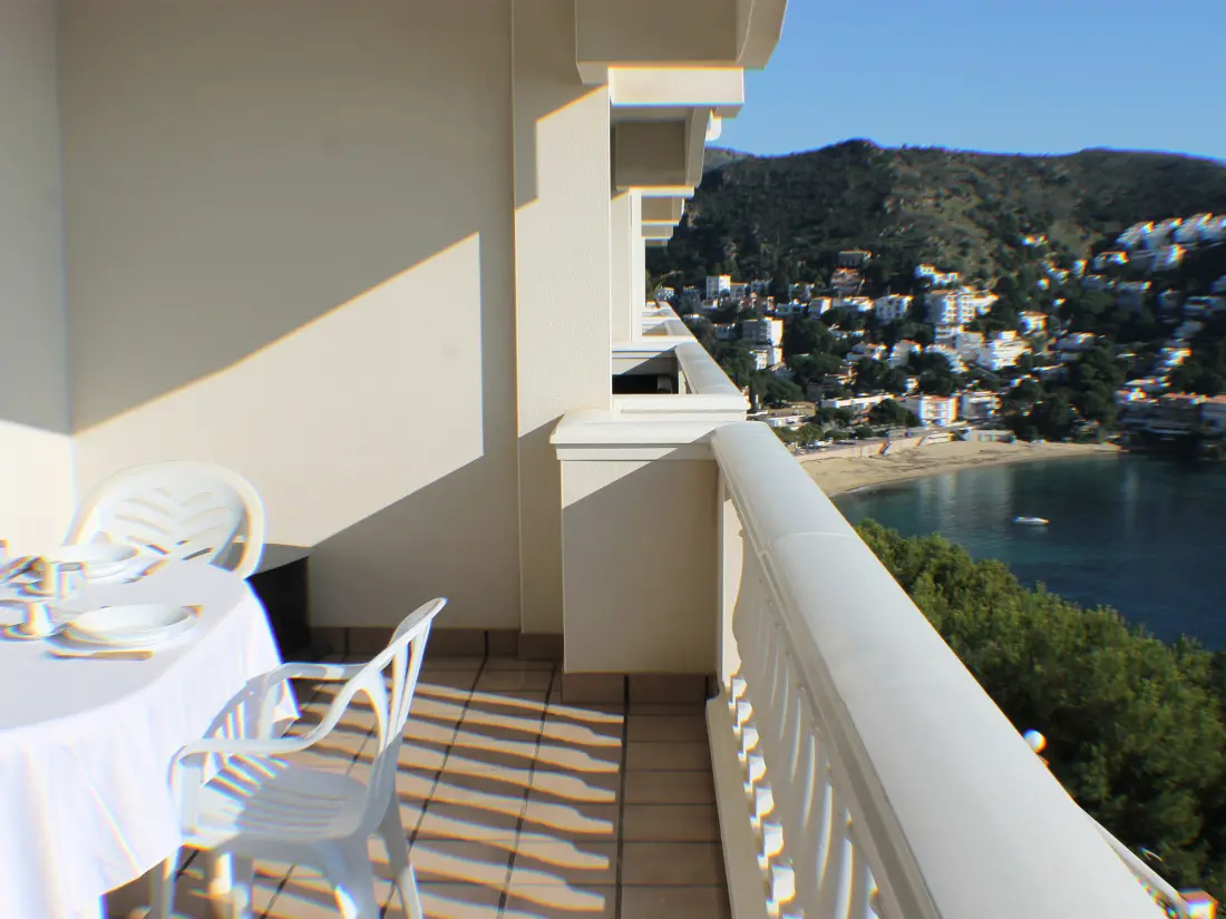 Location de Vacances Roses 792