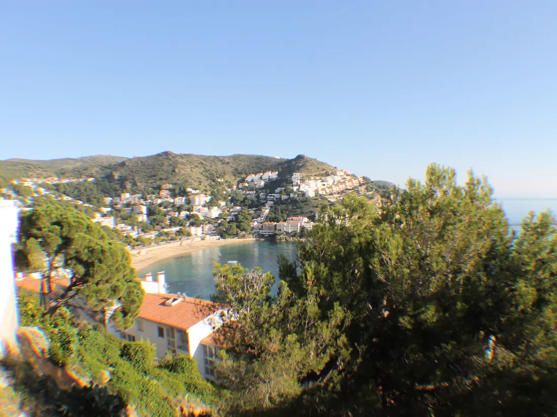 Location de Vacances Roses 792