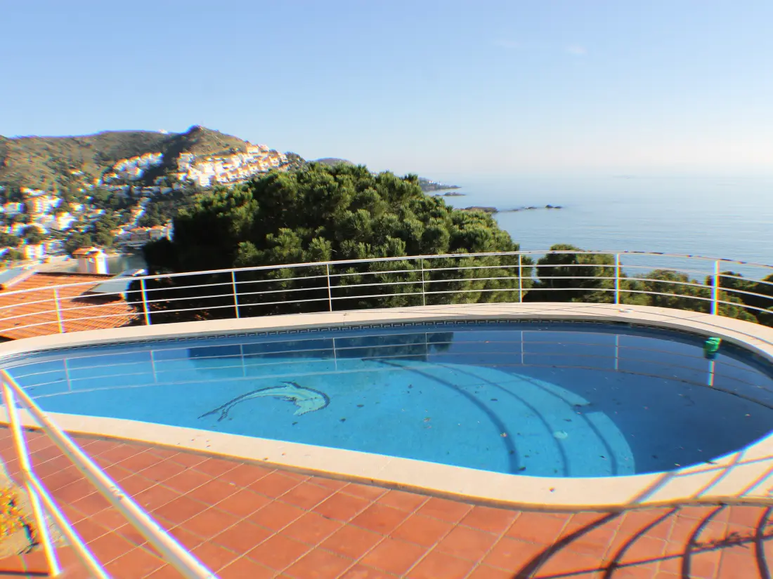 Location de Vacances Roses 792