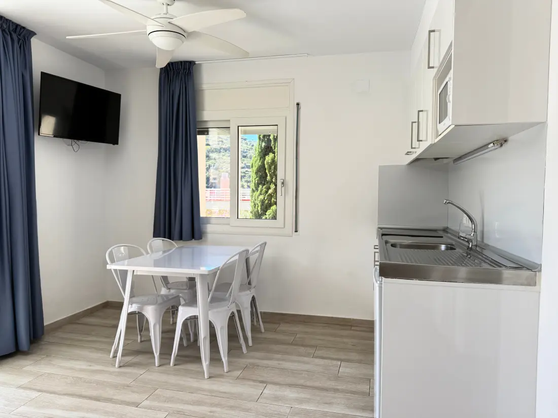 Location de Vacances Roses 793