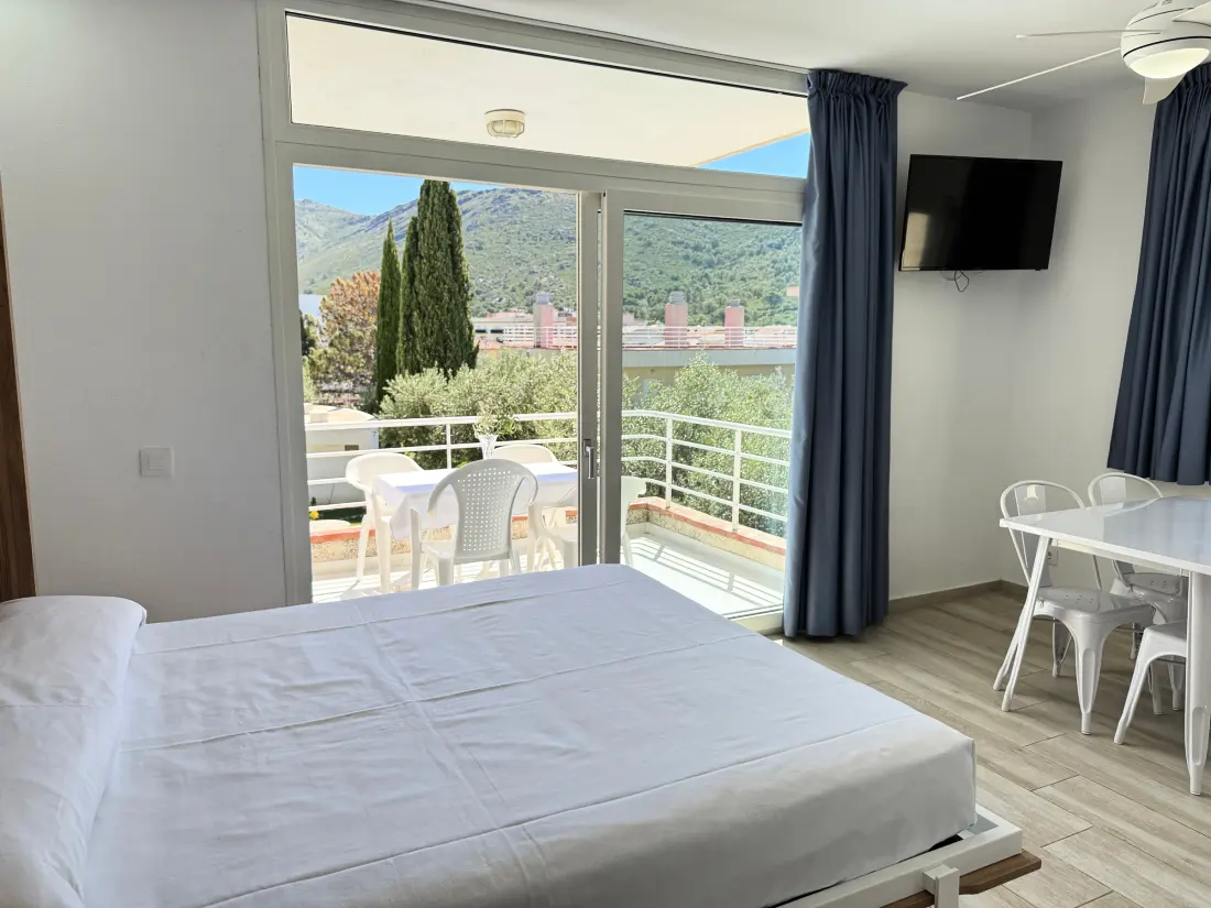 Location de Vacances Roses 802