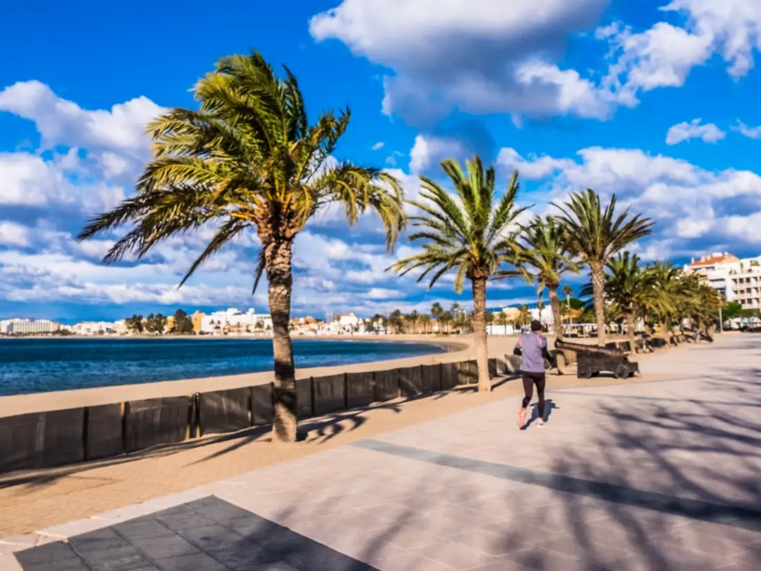 Location de Vacances Roses 805