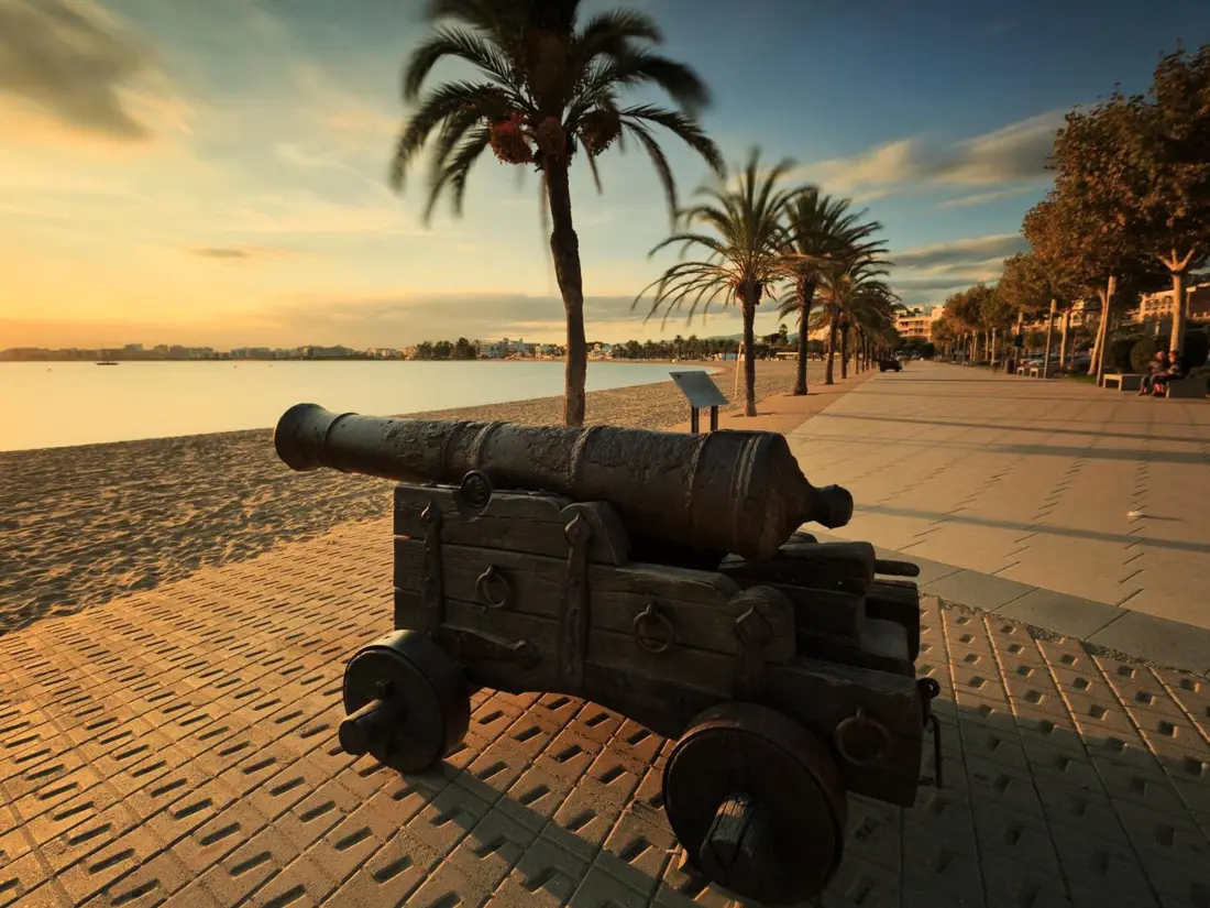 Location de Vacances Roses 805