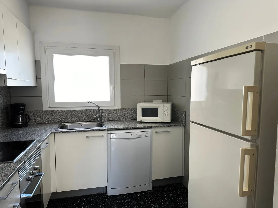 Location de Vacances Roses 806