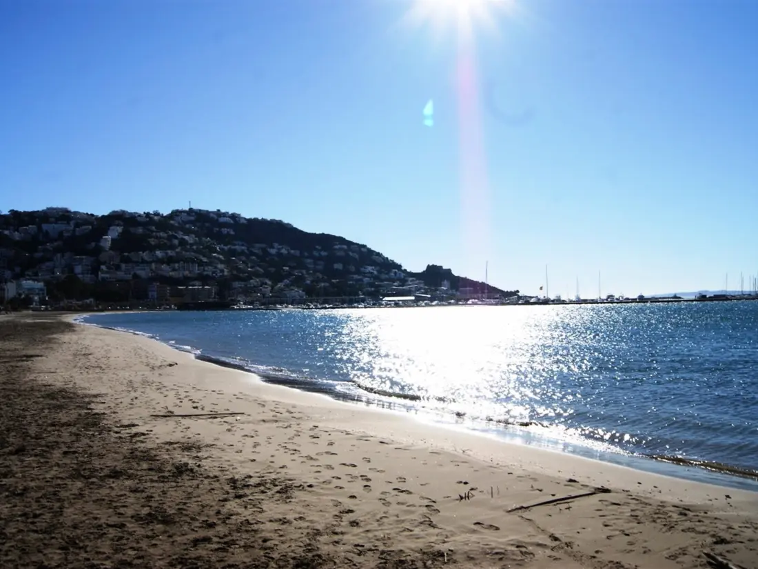 Location de Vacances Roses 806