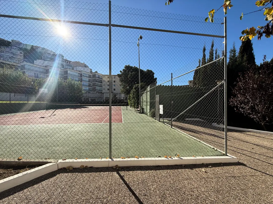 Location de Vacances Roses 808