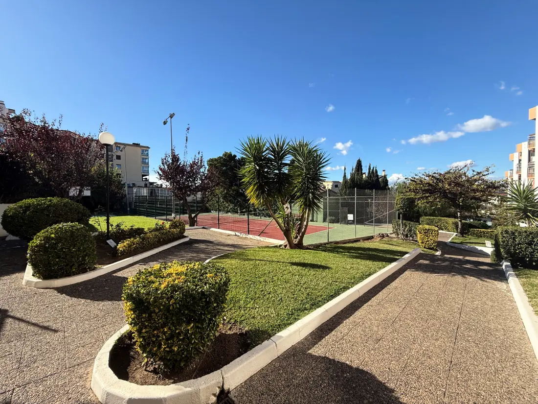 Location de Vacances Roses 808