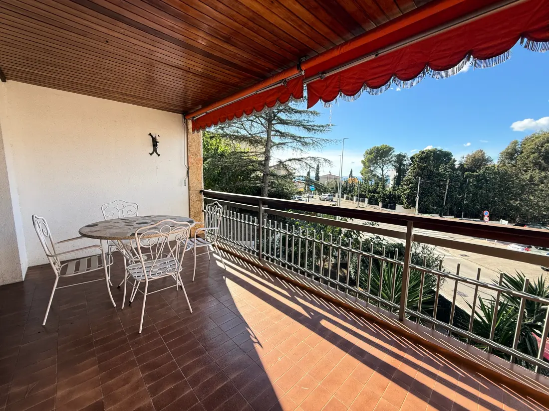 Location de Vacances Roses 808