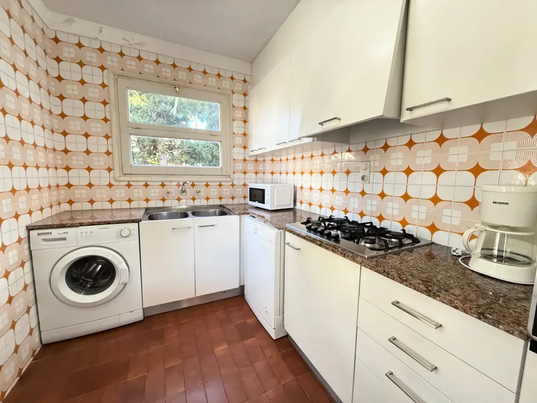 Location de Vacances Roses 808