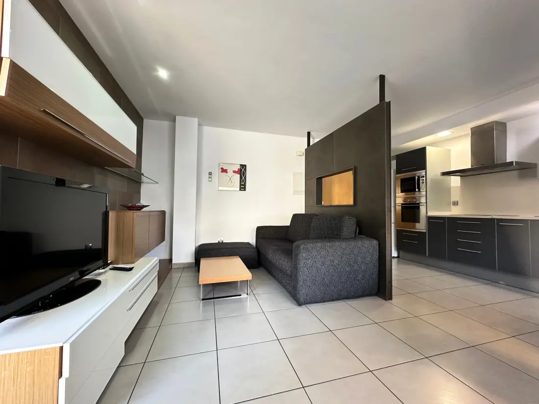 Location de Vacances Roses 815