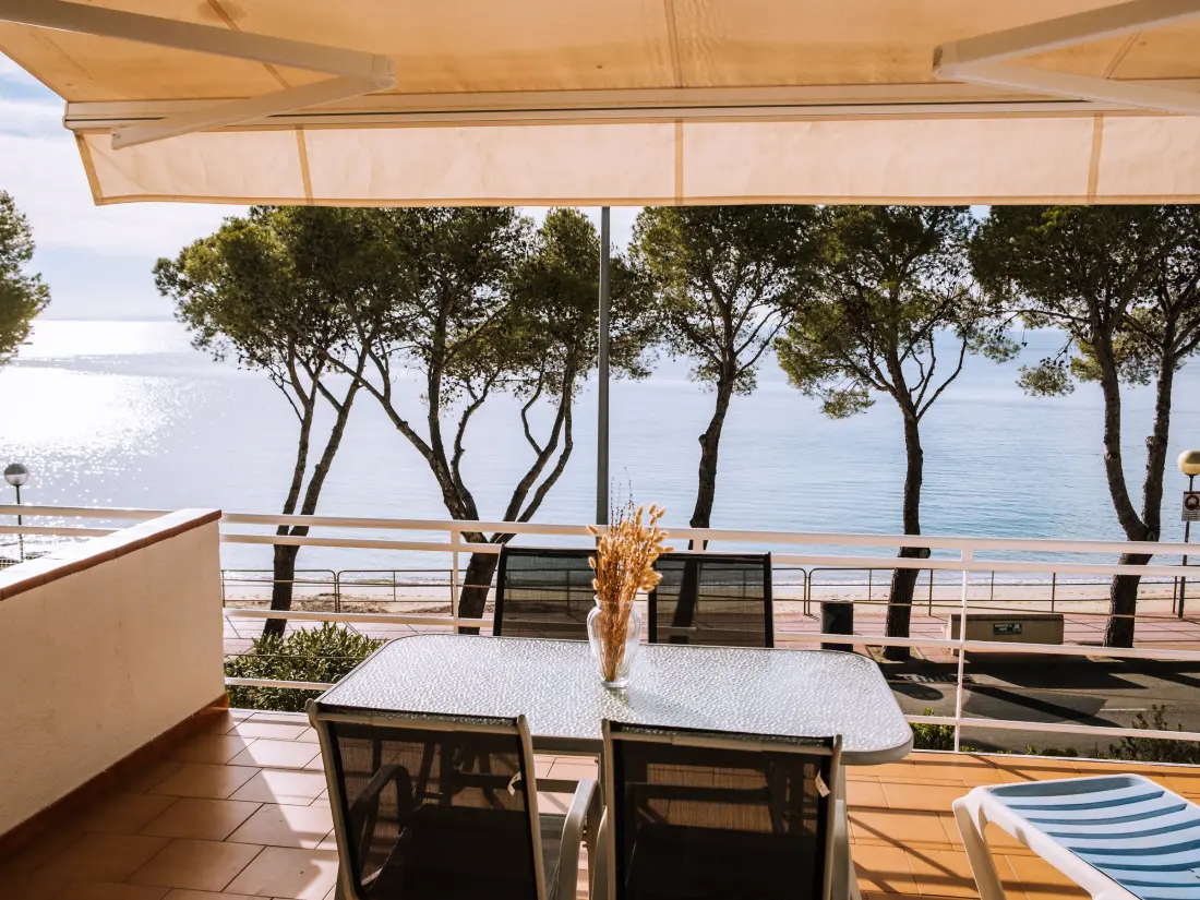 Location de Vacances Roses 822