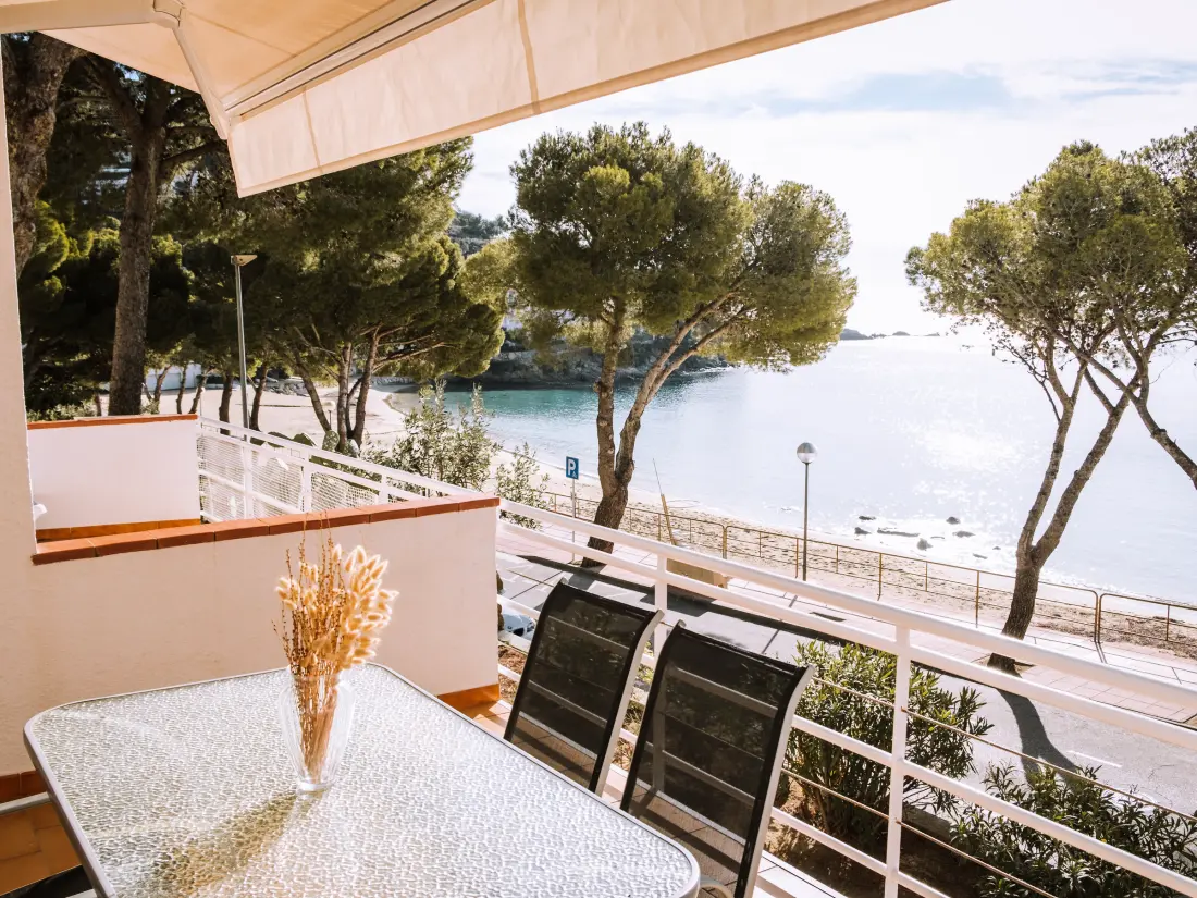 Location de Vacances Roses 822