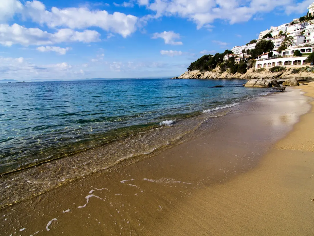 Location de Vacances Roses 822