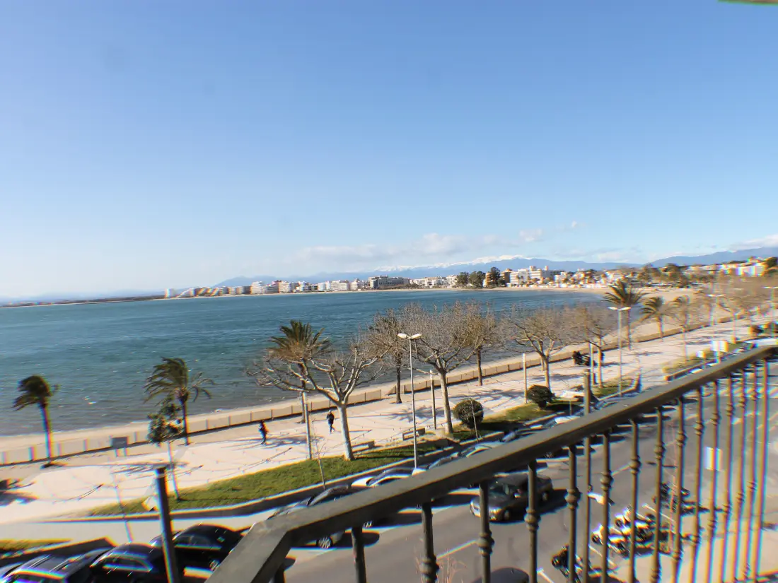 Location de Vacances Roses 823