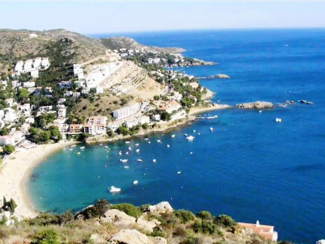 Location de Vacances Roses 824