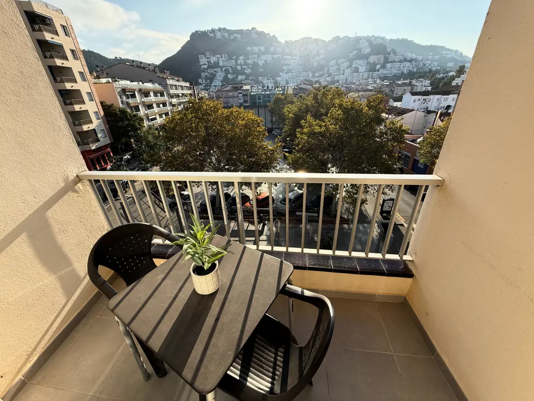 Location de Vacances Roses 827