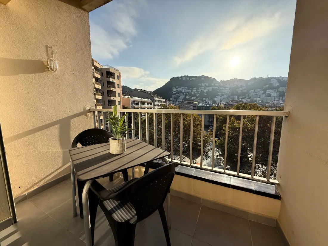 Location de Vacances Roses 827