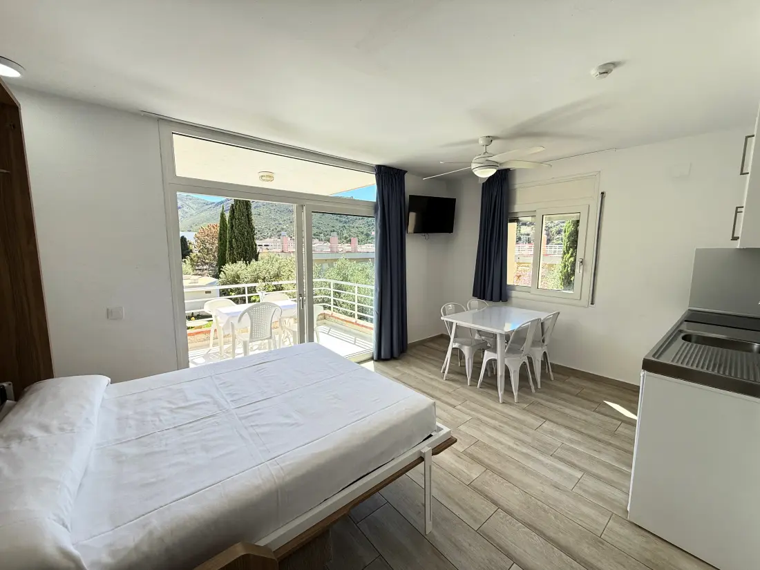 Location de Vacances Roses 828
