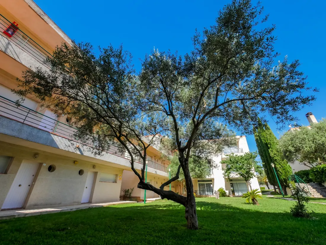 Location de Vacances Roses 830
