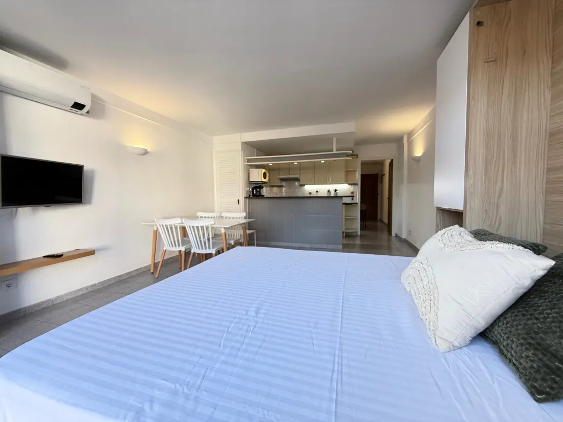 Location de Vacances Roses 832