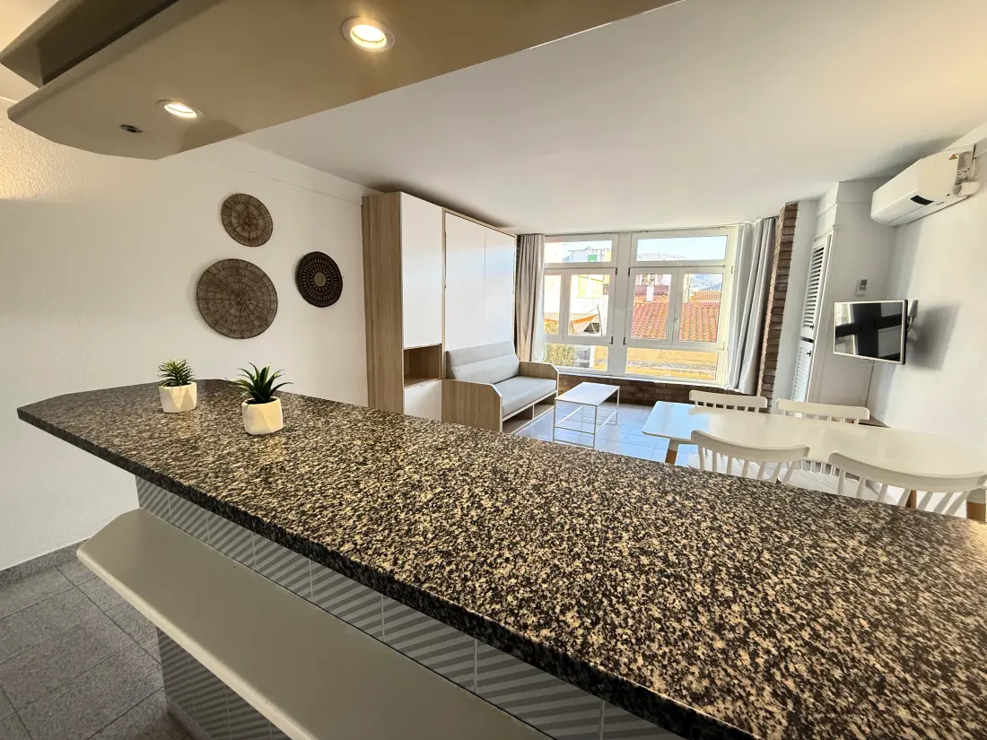 Location de Vacances Roses 832