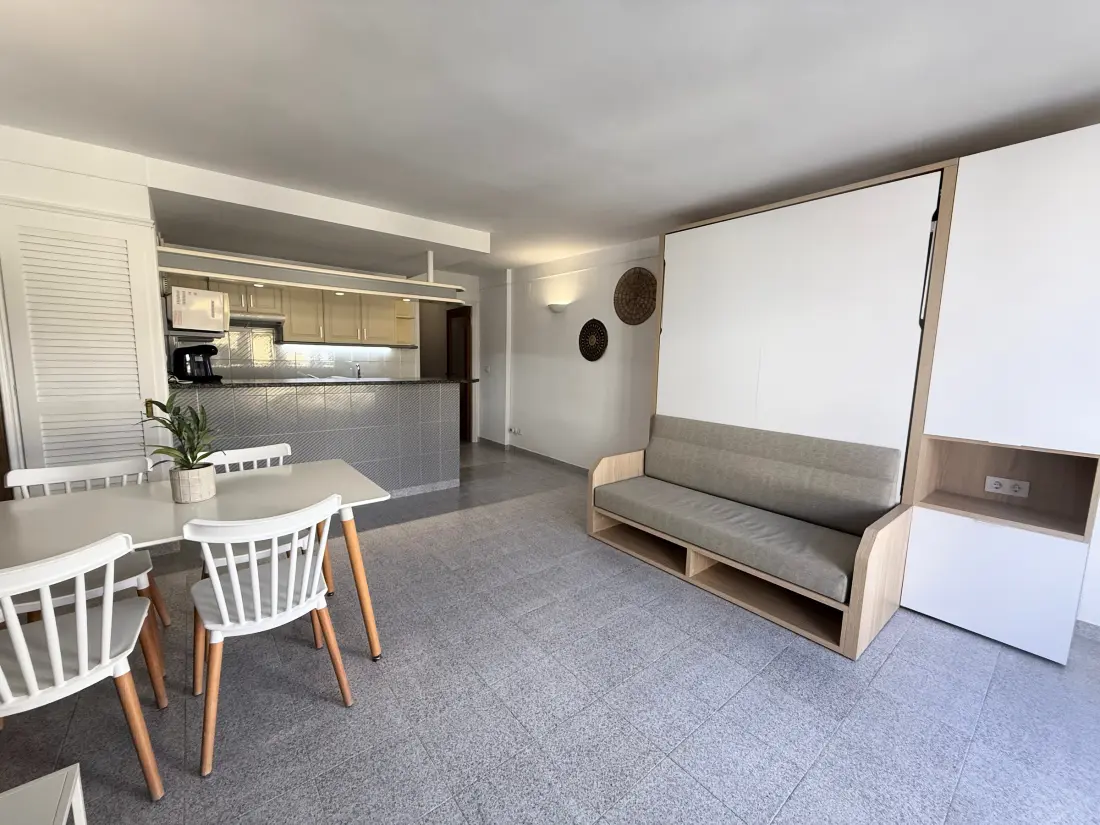 Location de Vacances Roses 833