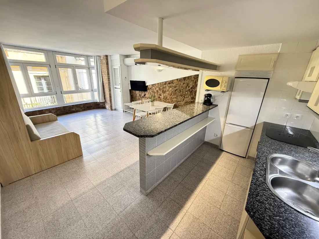Location de Vacances Roses 833