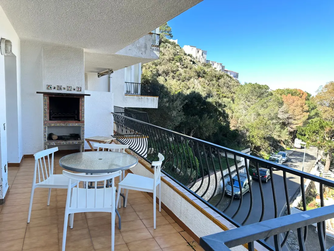 Location de Vacances Roses 834