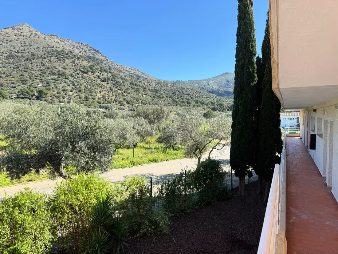 Location de Vacances Roses 835