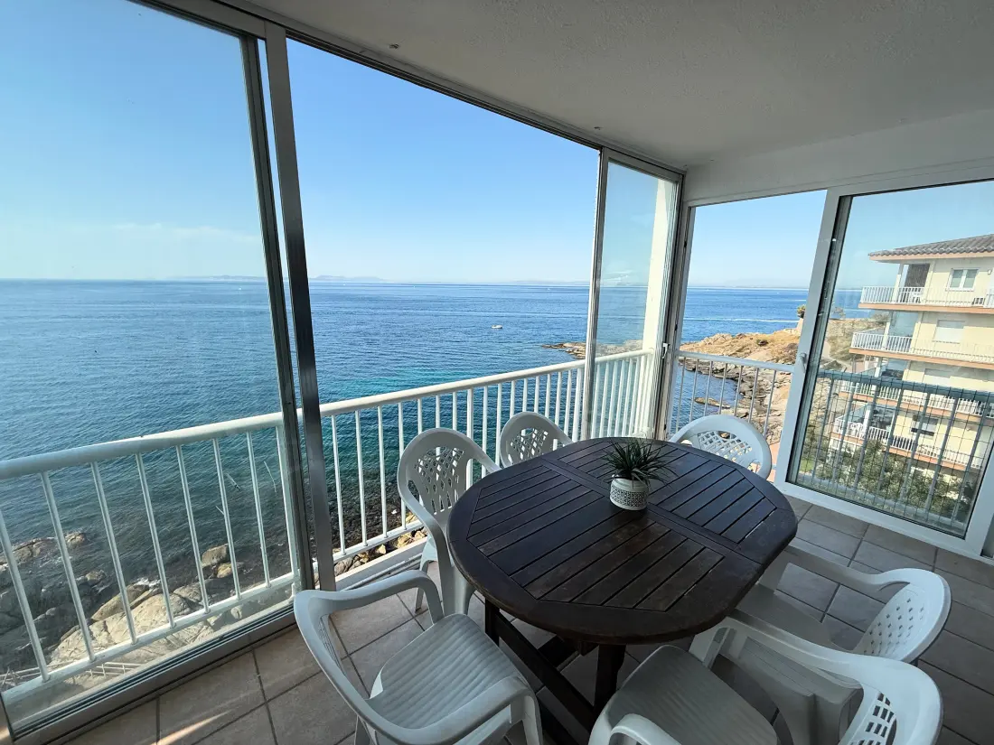Location de Vacances Roses 838