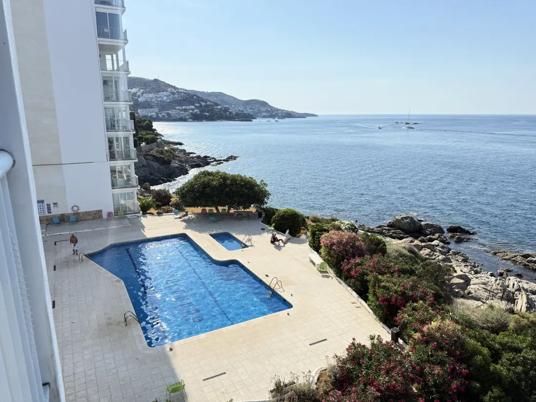 Location de Vacances Roses 838
