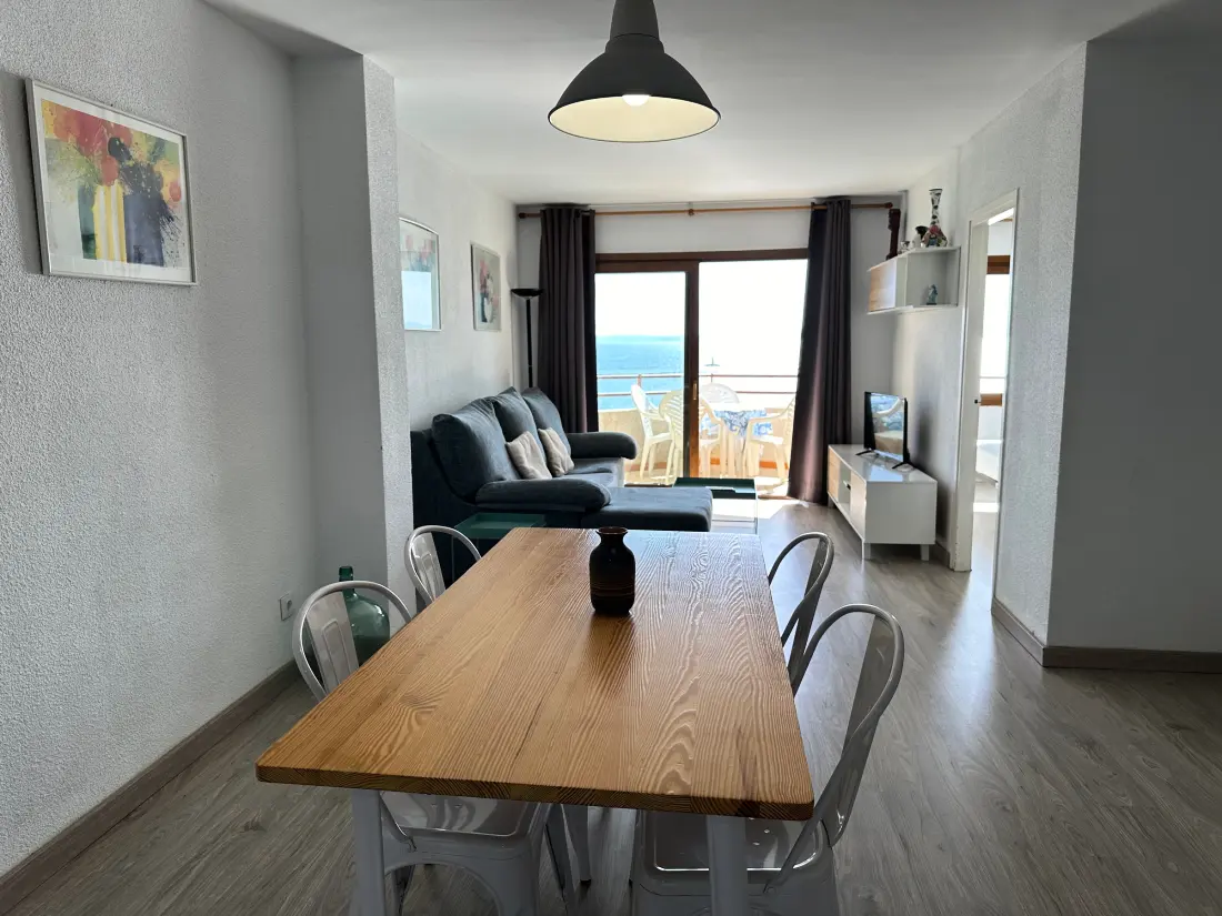 Location de Vacances Roses 839