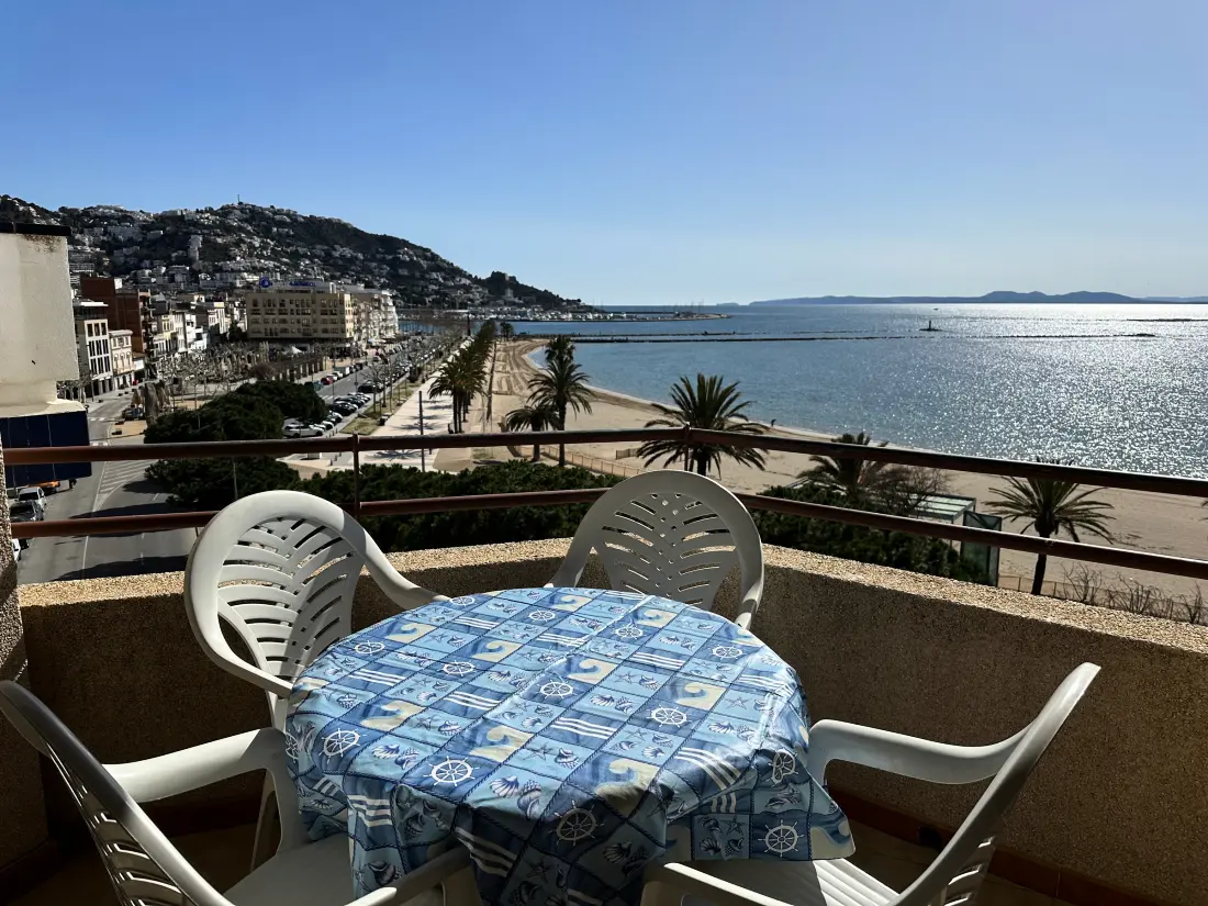 Location de Vacances Roses 839