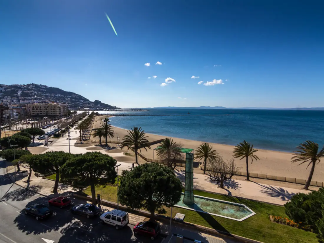 Location de Vacances Roses 839