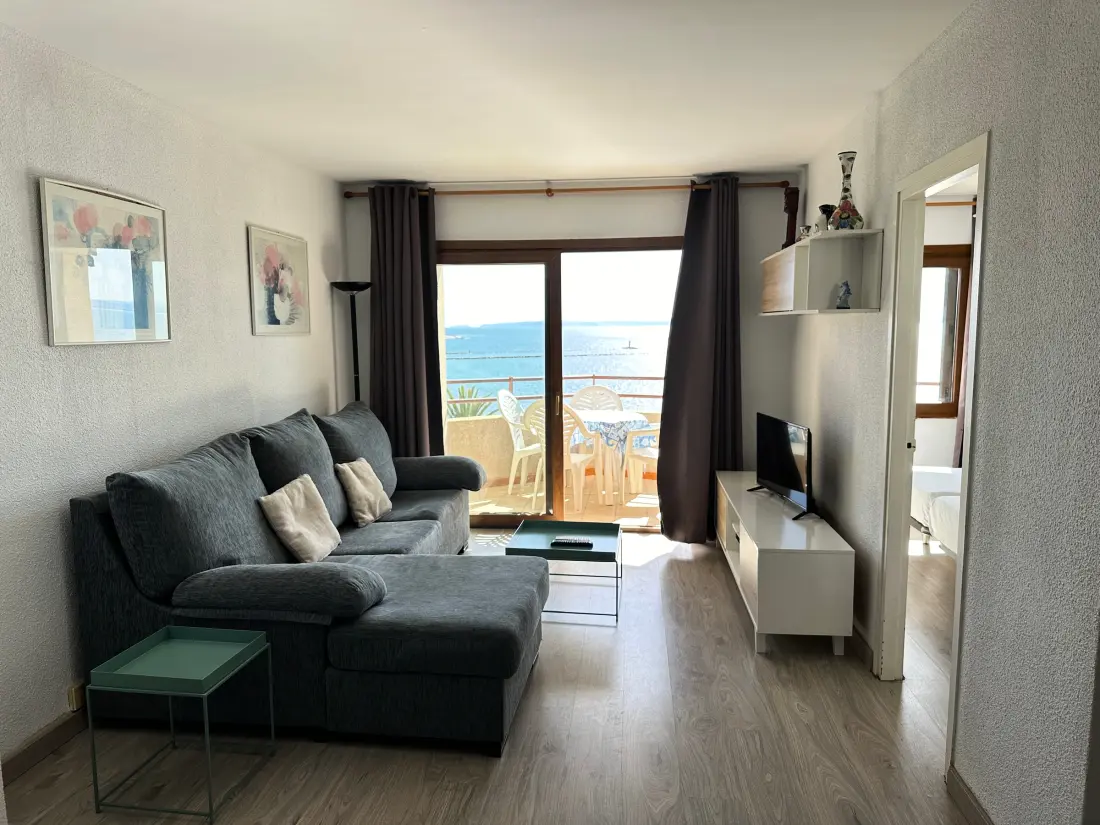 Location de Vacances Roses 839